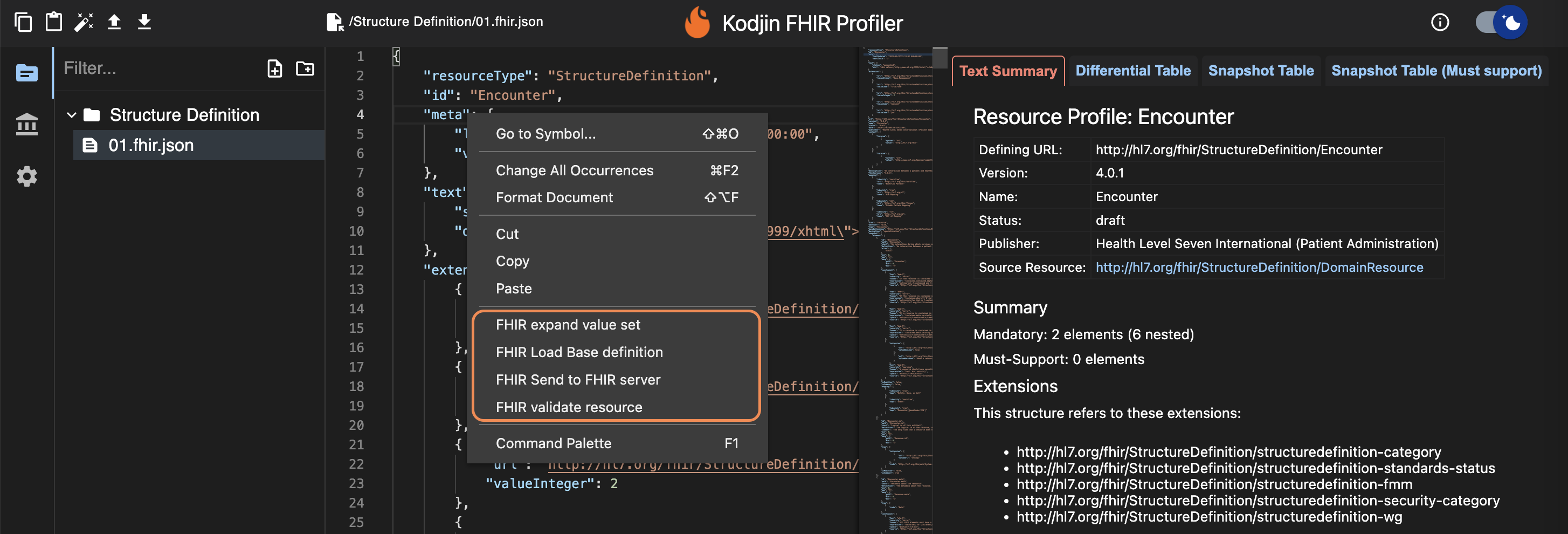 Kodjin FHIR Profiler main functions